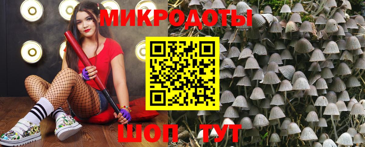 Псилоцибиновые грибы Magic Shrooms  Вход с VPN  Псилоцибиновые грибы Psilocybine cubensis  Карачаевск 